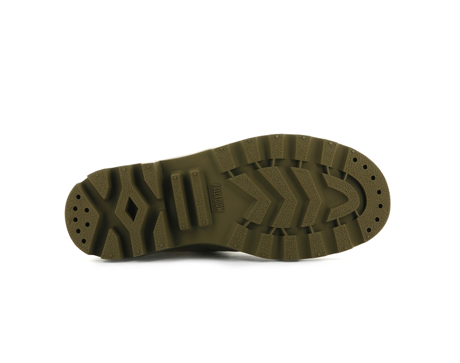 Olive Palladium Pallabrousse | NMT569OP