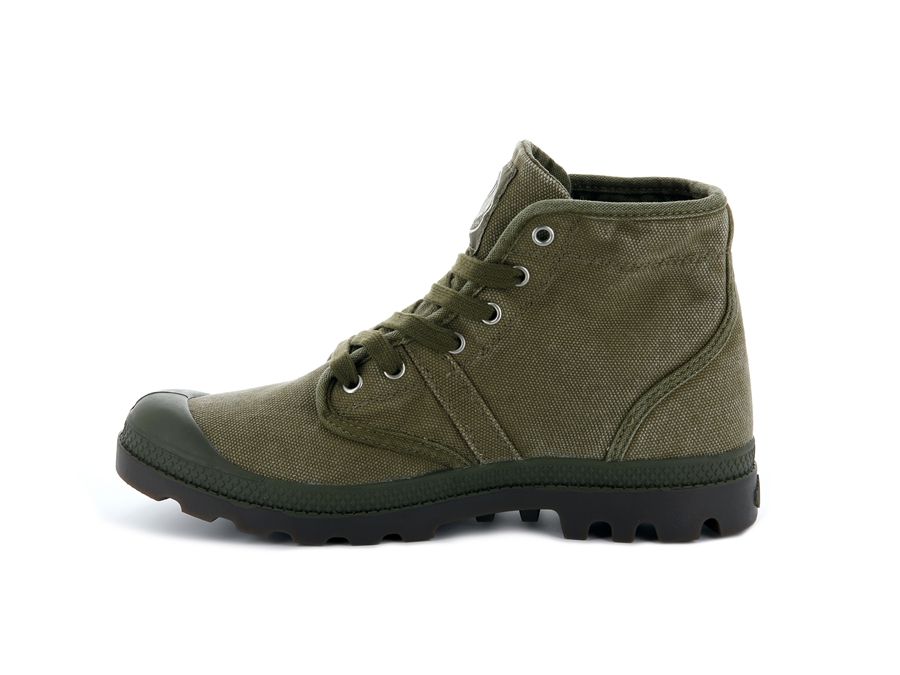 Olive Palladium Pallabrousse | OIG7935GE