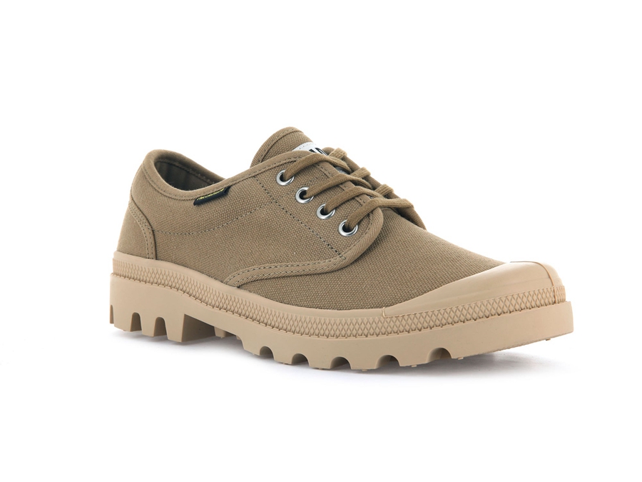 Olive Palladium Pallabrousse | ZEA8989CE