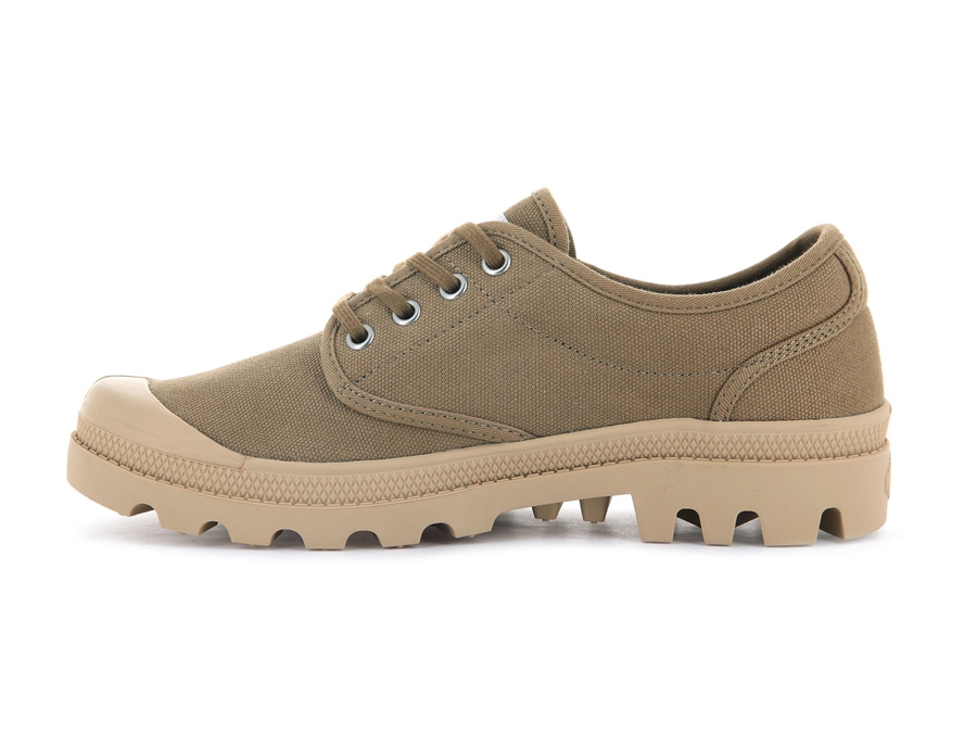 Olive Palladium Pallabrousse | ZEA8989CE