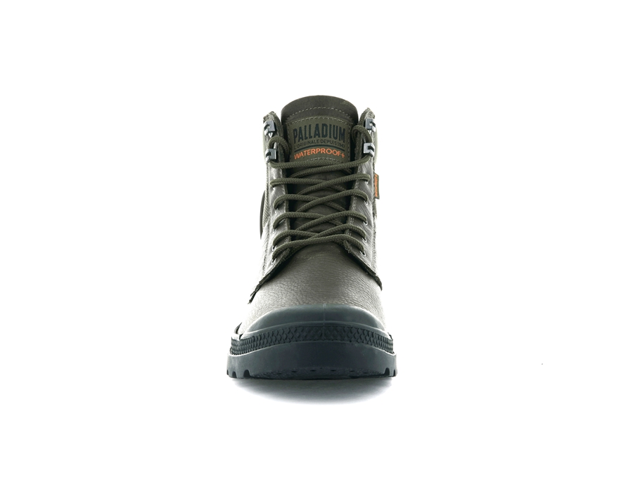 Olive Palladium Pampa | GPB4183EK