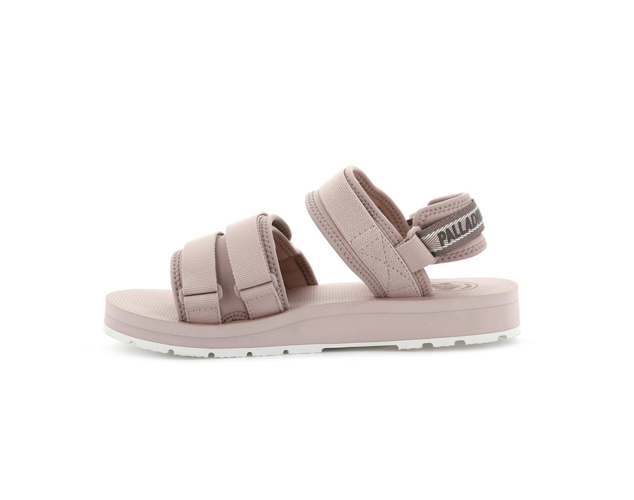 Rose Palladium Outdoorsy | CLP364CN